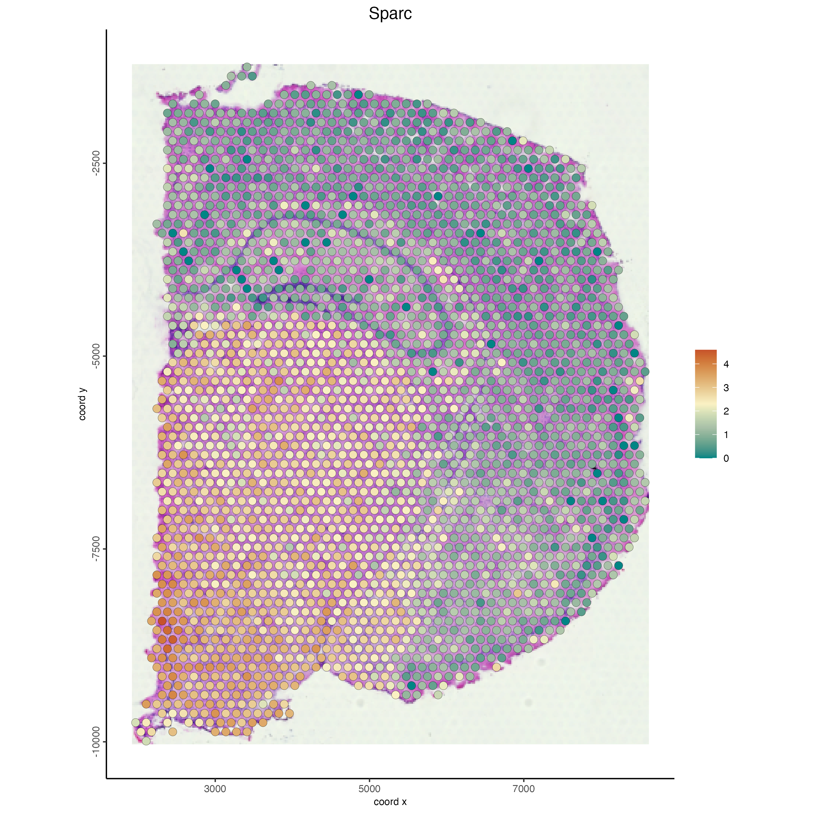 Gene expression for visium expression for Sparc