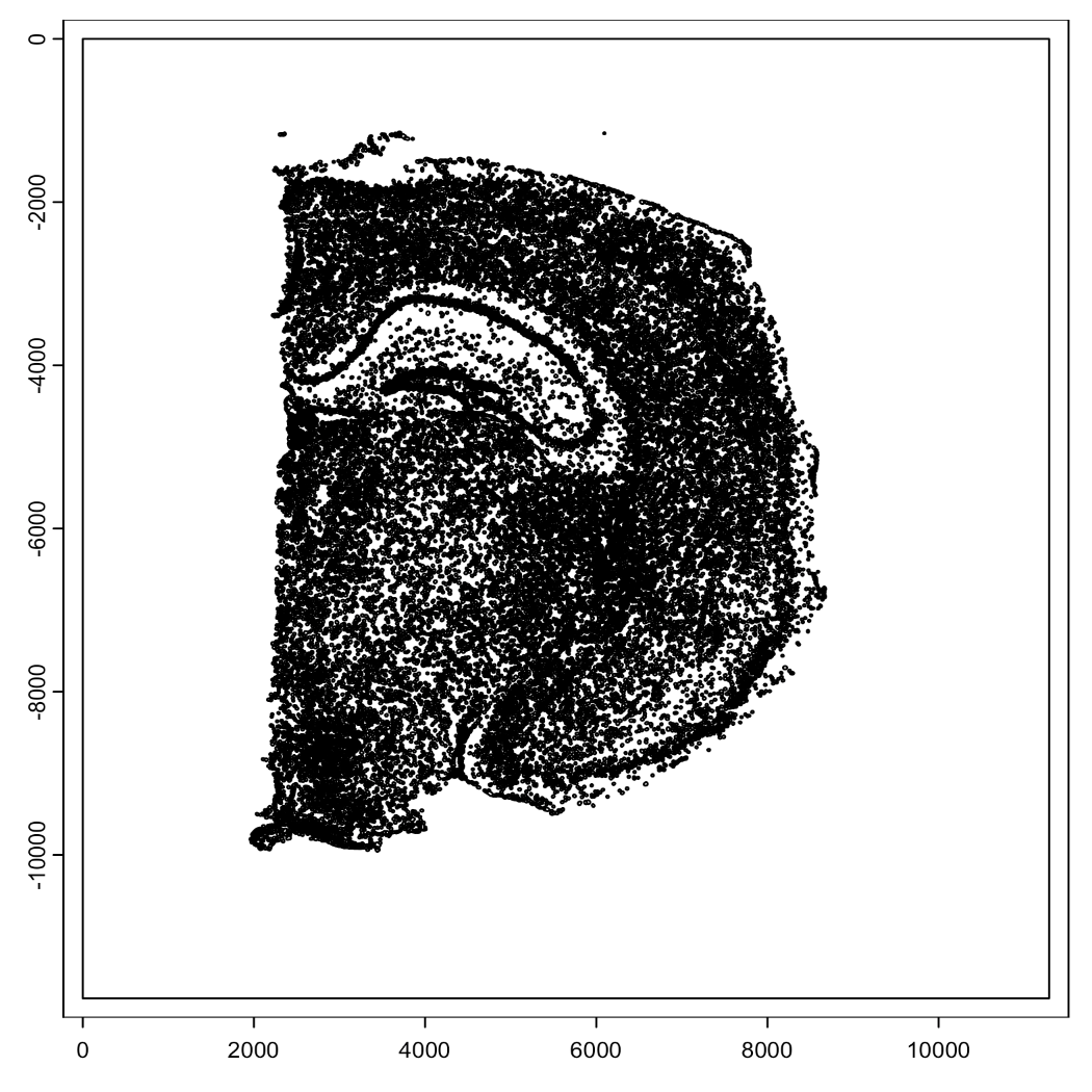 Mouse brain cell polygons with artifacts removed and flipped