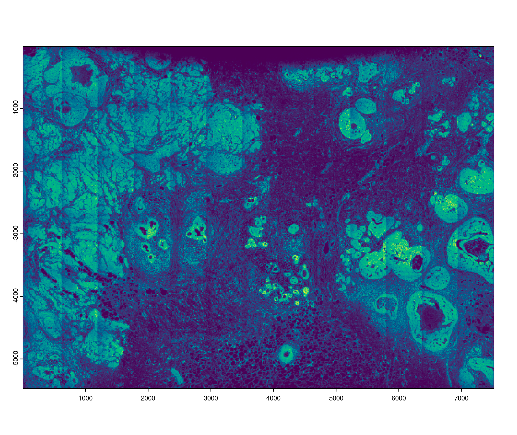 plot of Gene expression (rna) density