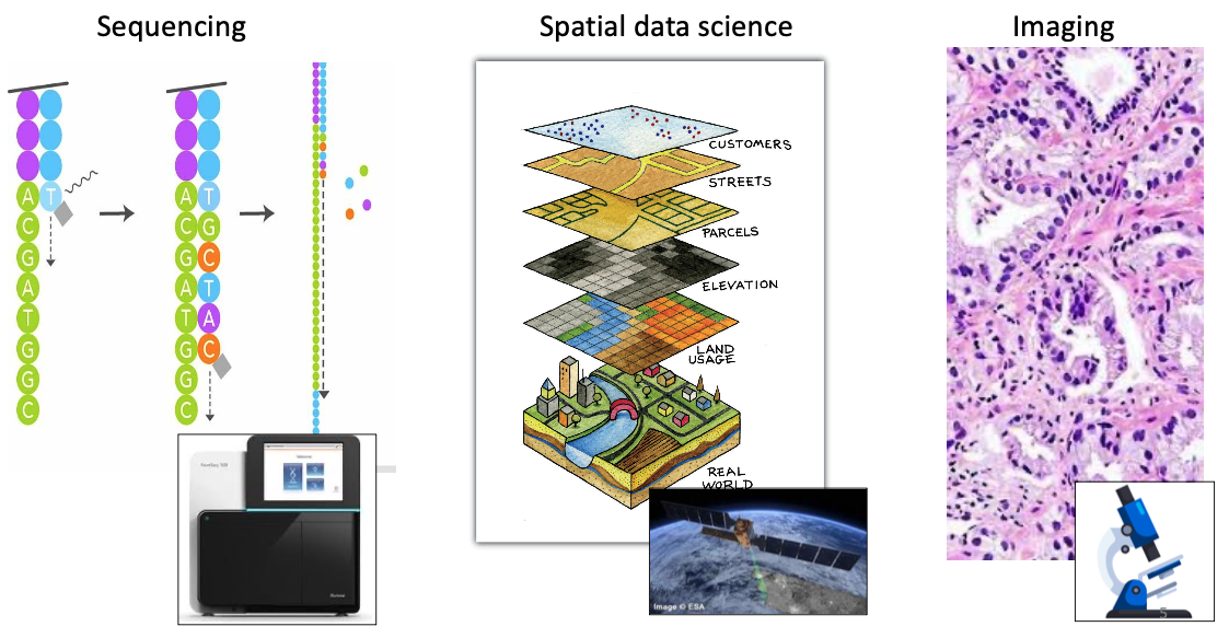 Spatial Omics Constituents