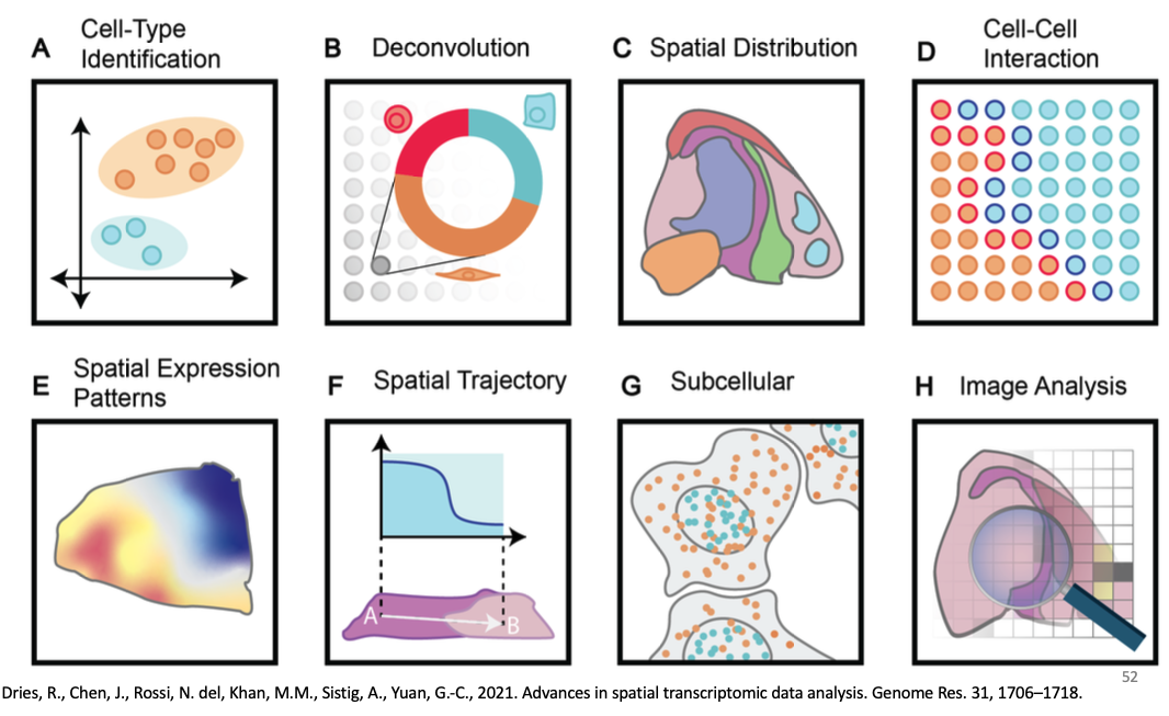 Dries, R. et al. Genome Res. Downstream analysis in spatial data analysis.