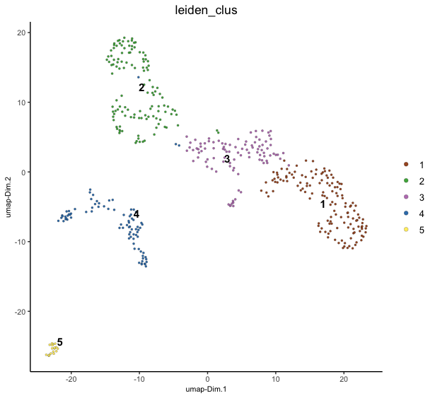 UMAP projection with leiden clustering colors