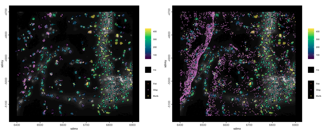 Points and polygons subcellular plot with 3 transcript species plotted, polygons colored as number of detected transcripts, and dapi image plotted. Left is with only the points overlapped by polygons, right is with all points