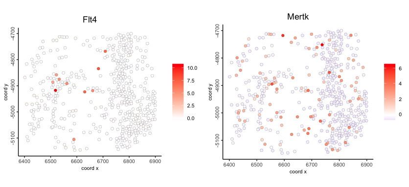 Spatial feature expression plot of normalized Flt4 (left) and Mertk expression (right)