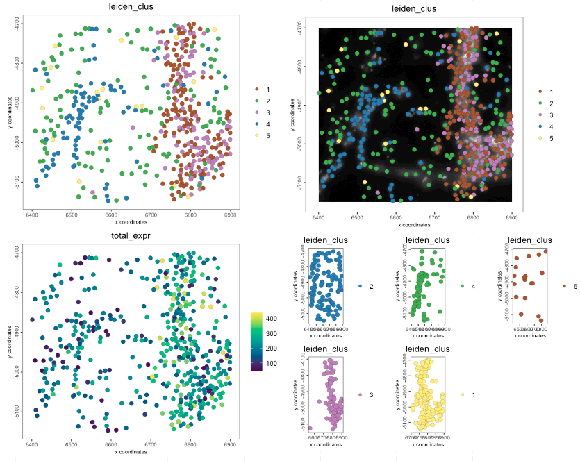 Spatial plots