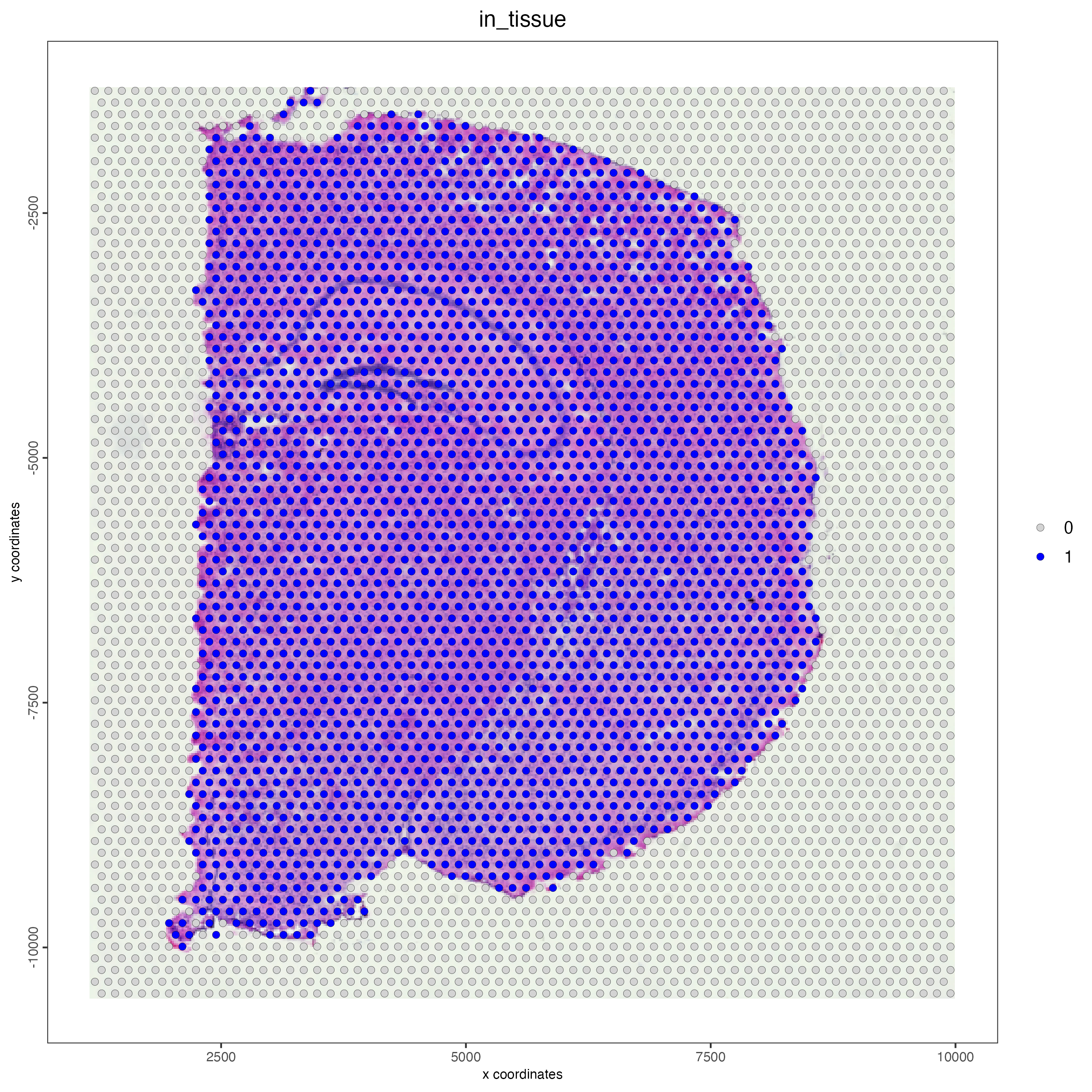 Spatial plot of the Visium mouse brain sample, color indicates wheter the spot is in tissue (1) or not (0).