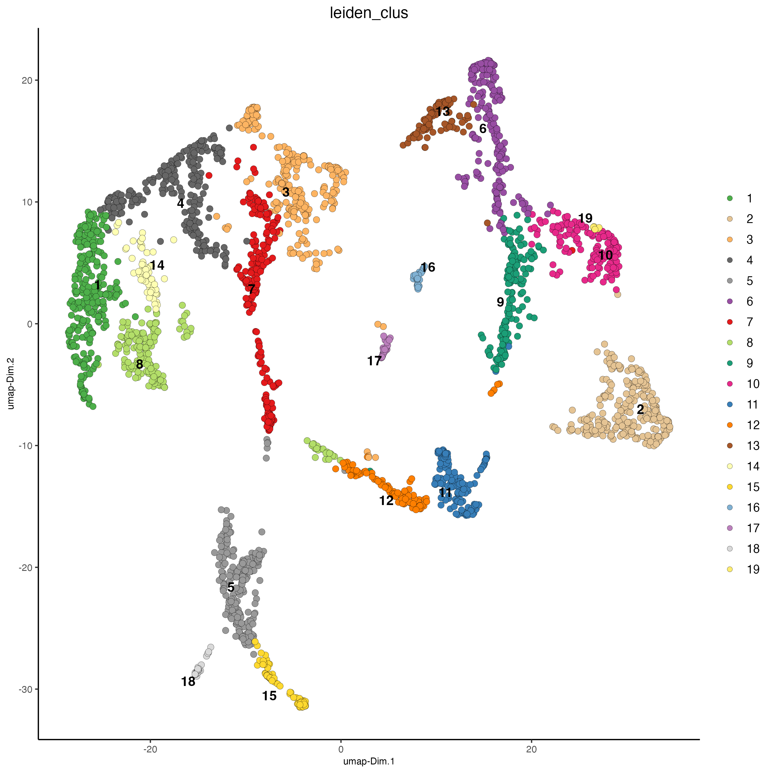 UMAP plot, colors indicate the Leiden clusters.