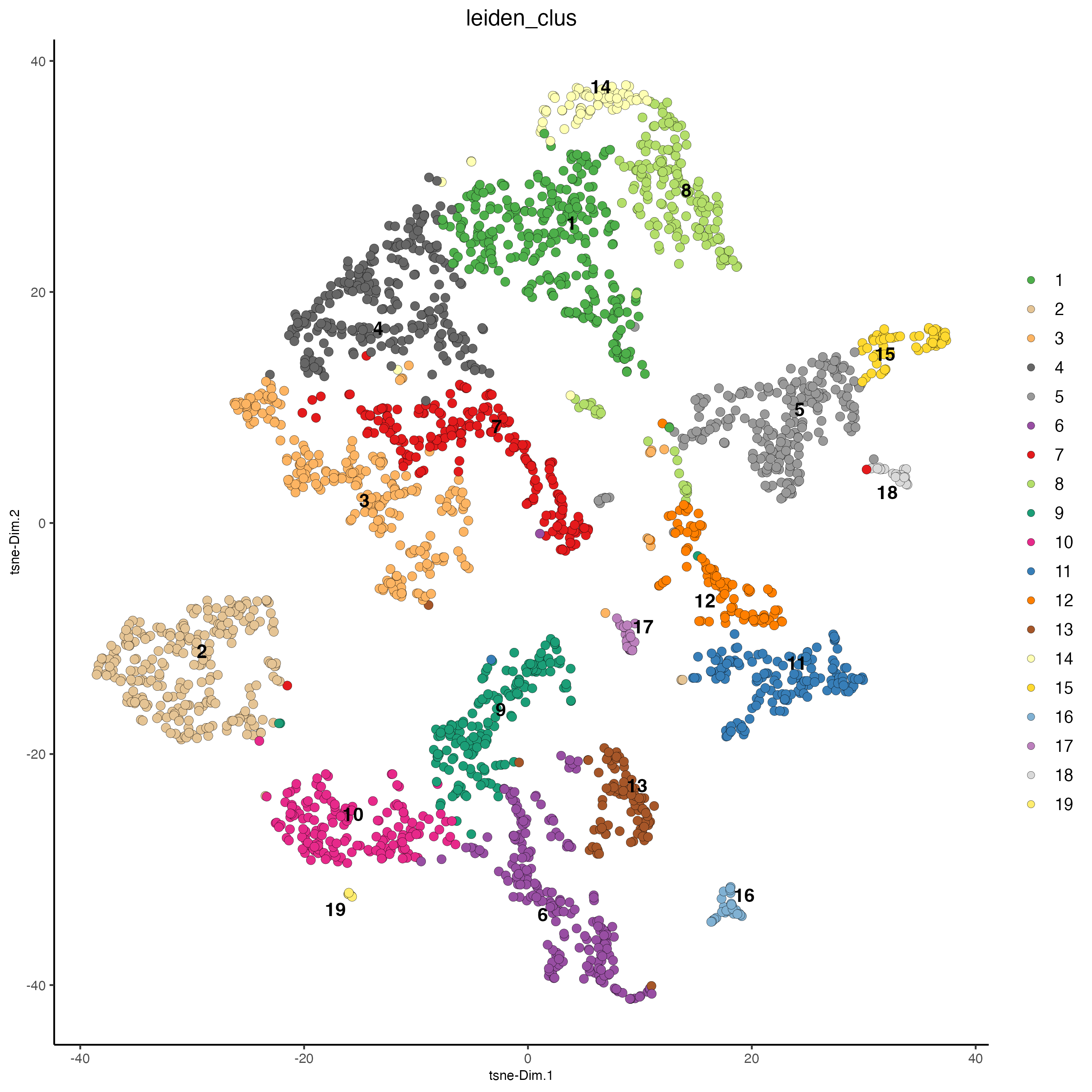 tSNE plot, colors indicate the Leiden clusters.