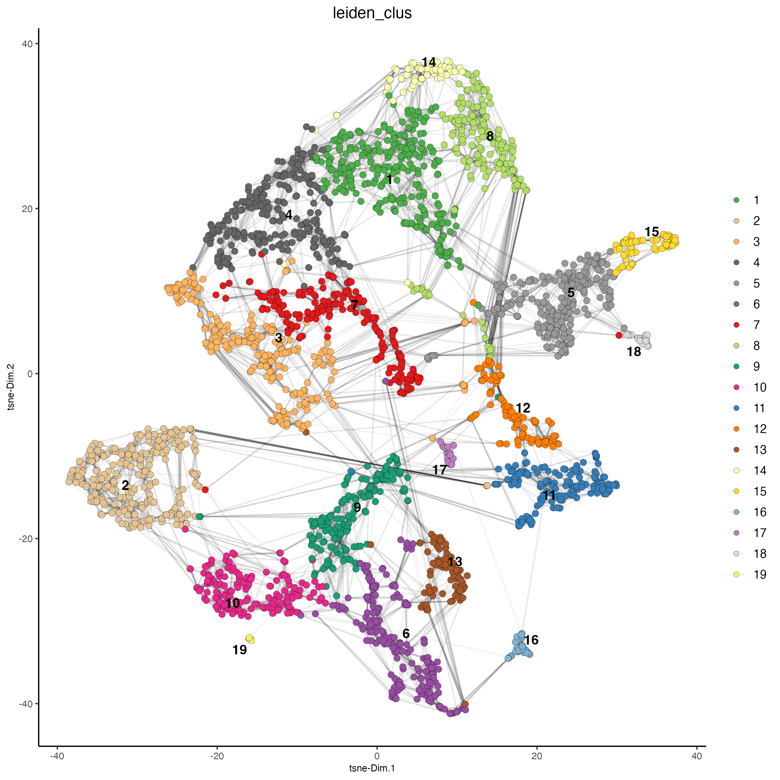 tSNE showing the nearest network.