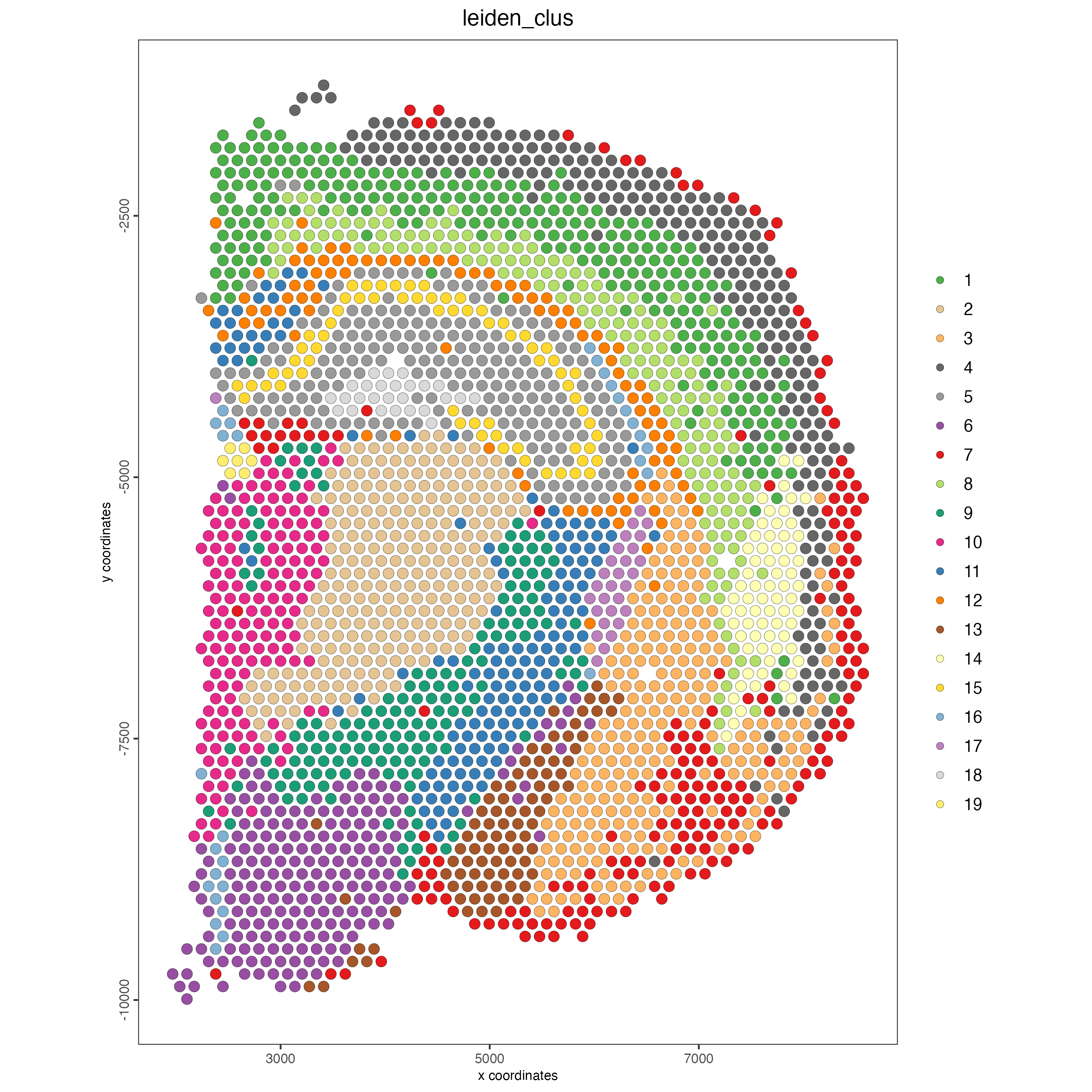 Spatial plot, colors indicate the Leiden clusters.