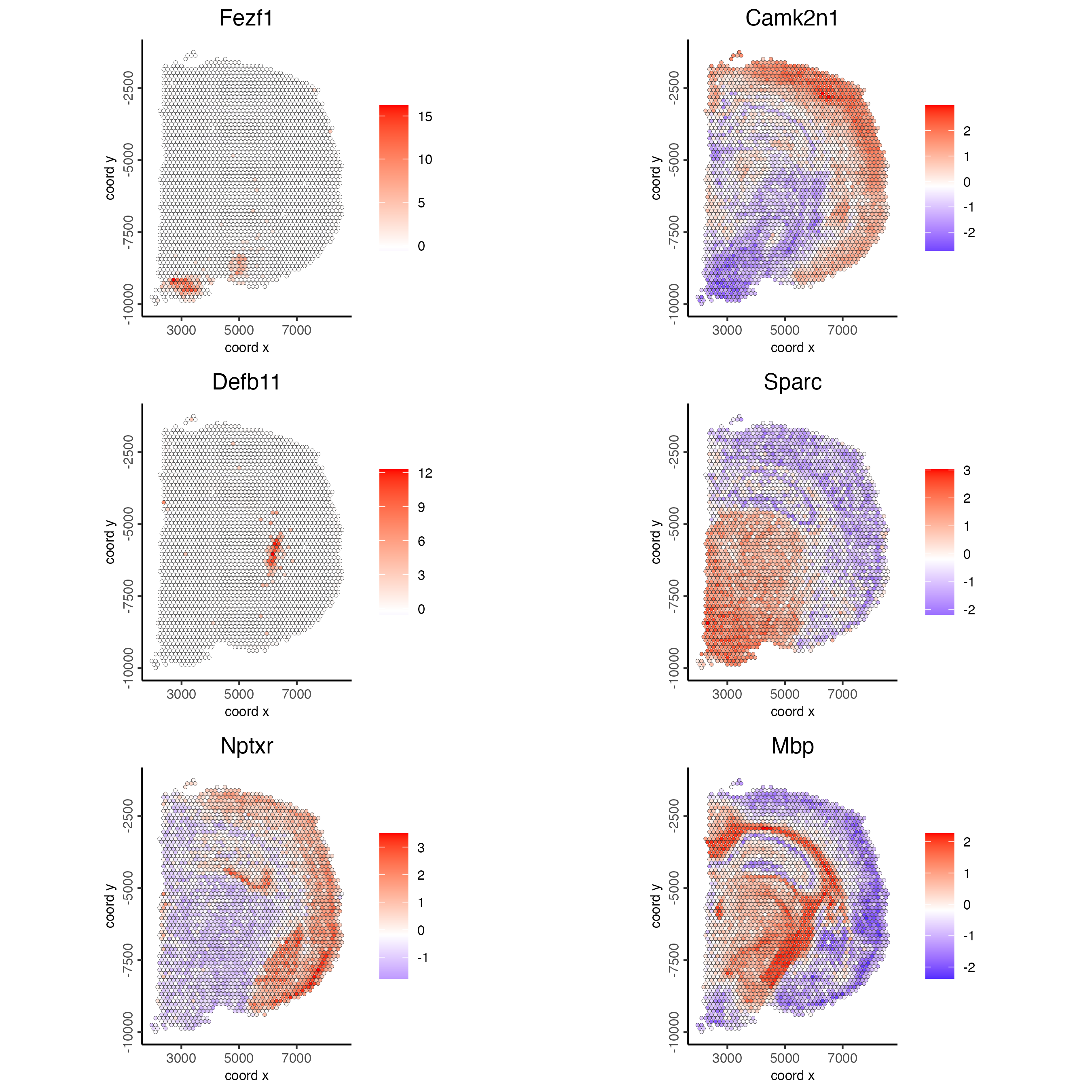 Spatial distribution of the top spatial genes scaled expression.