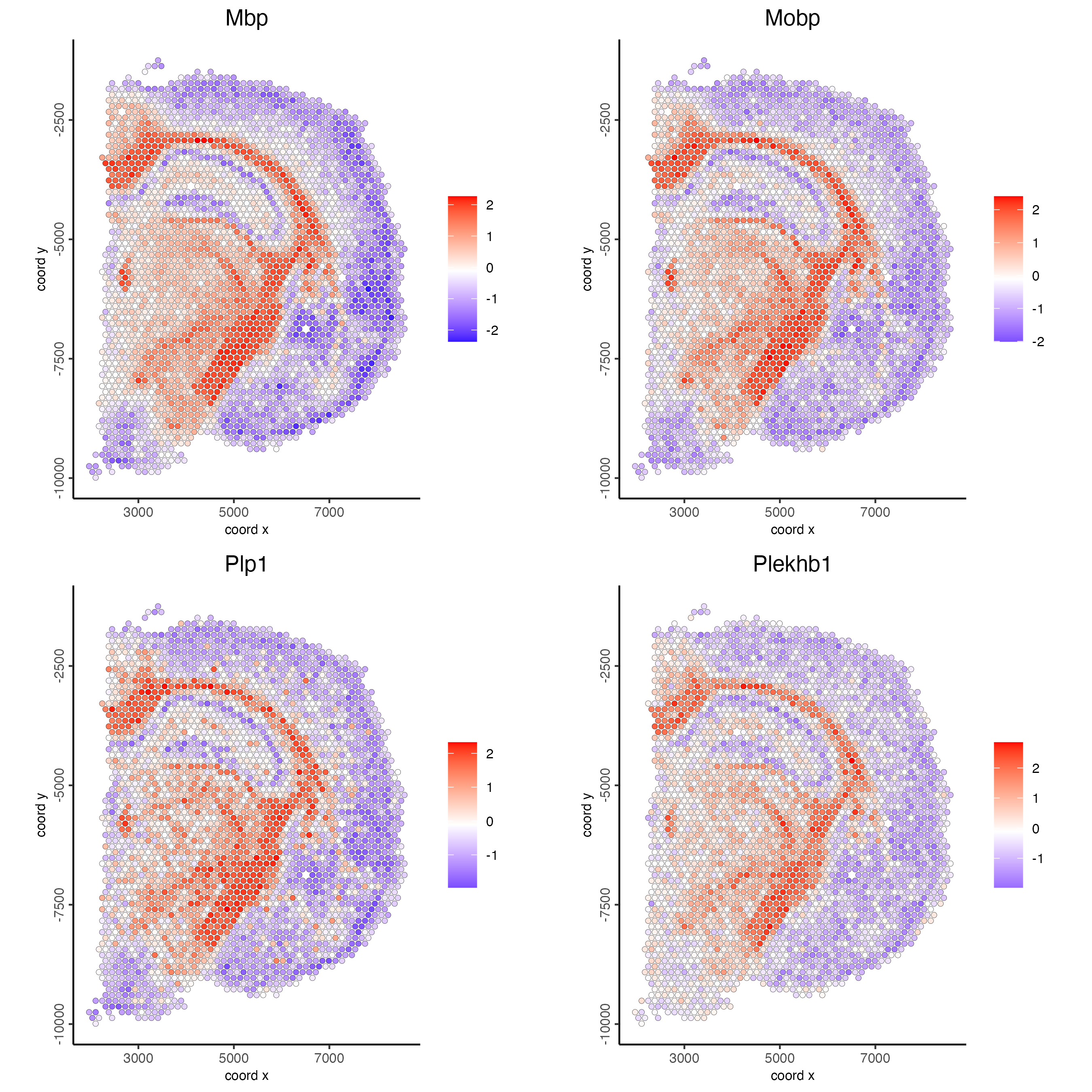 Spatial distribution of the scaled expression of 3 genes with similar spatial pattern to Mbp.