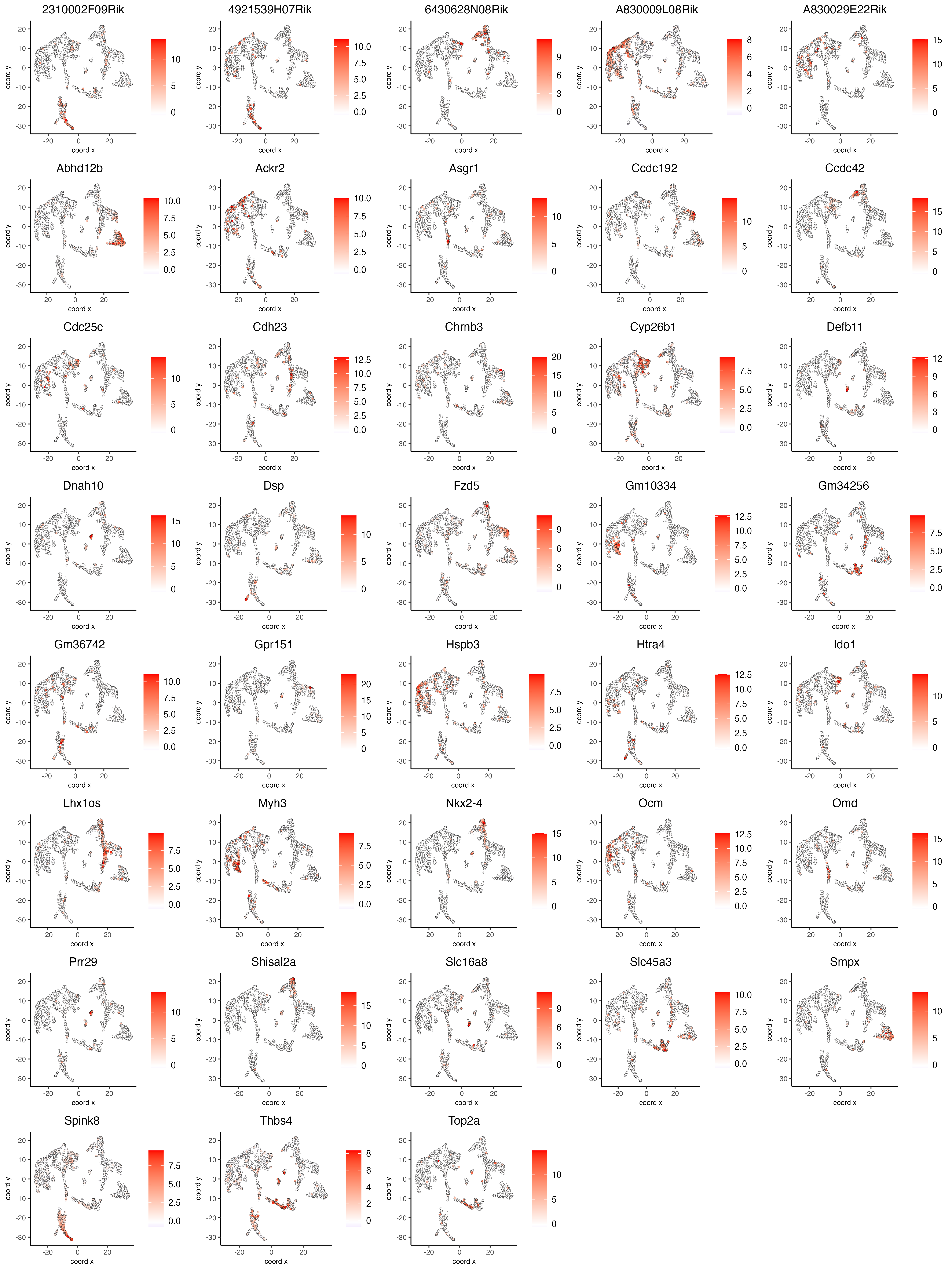 Spatial distribution of the top gini genes scaled expression.