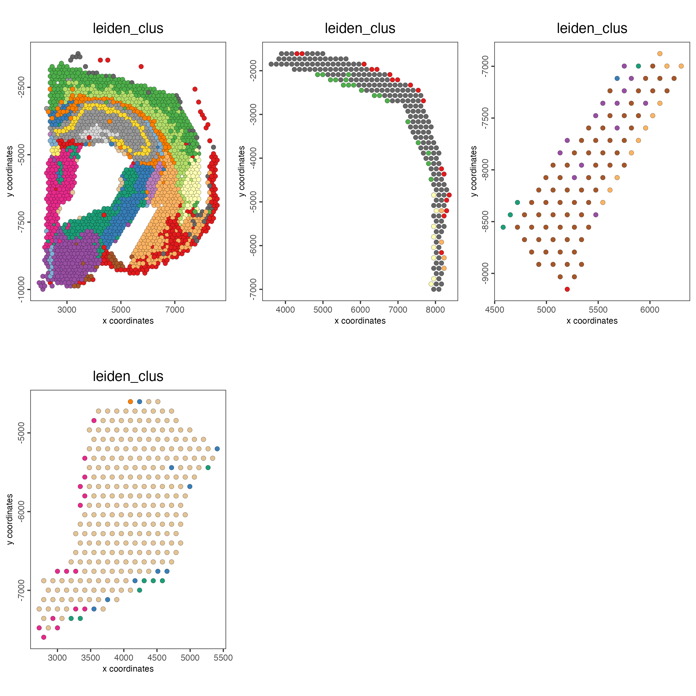 Spatial distribution of Leiden clusters across the selected polygons.