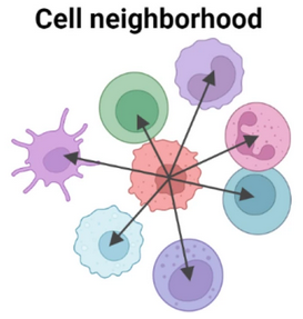 Schematic for niche clustering. Originally from CODEX.