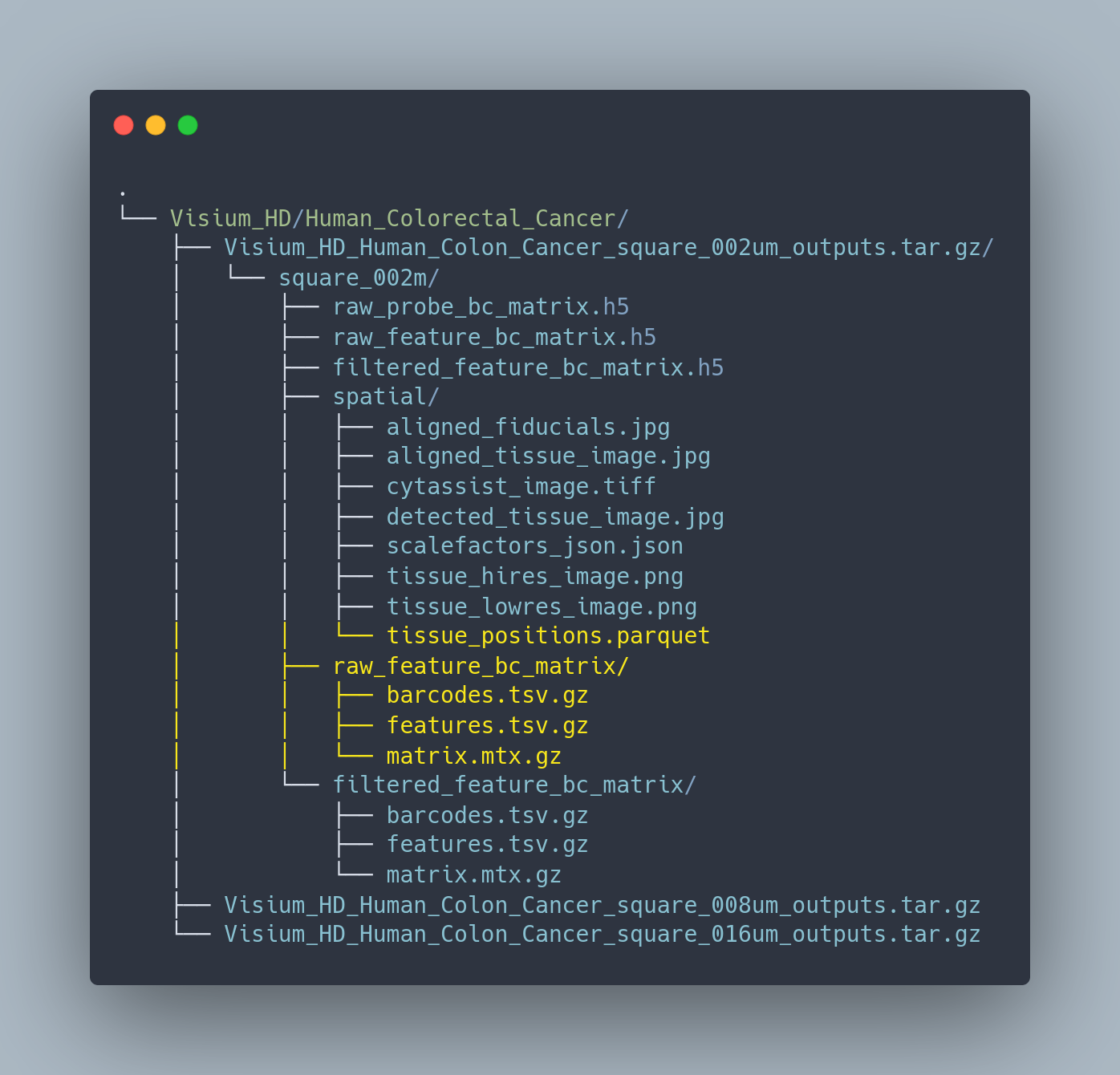 File structure of Visium HD data processed with spaceranger pipeline.