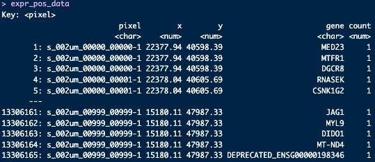 Genes expressed with count for each 2 µm pixel in the spatial dimensions.