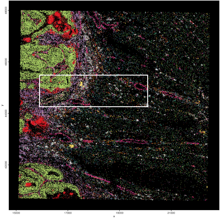 Coloring individual features based on the spatially correlated gene clusters + subset rectangle.