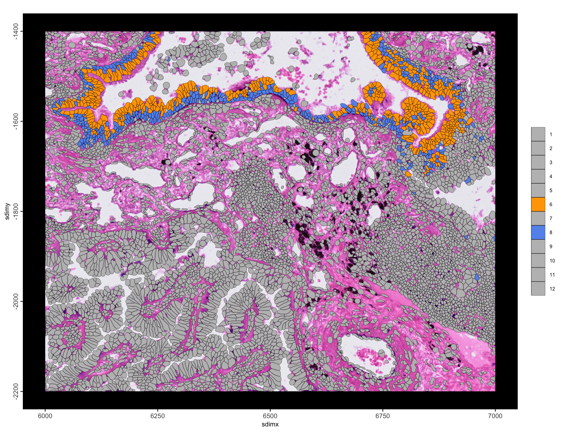 Spatial plot of enriched leiden annotation 6 to 8 interactions