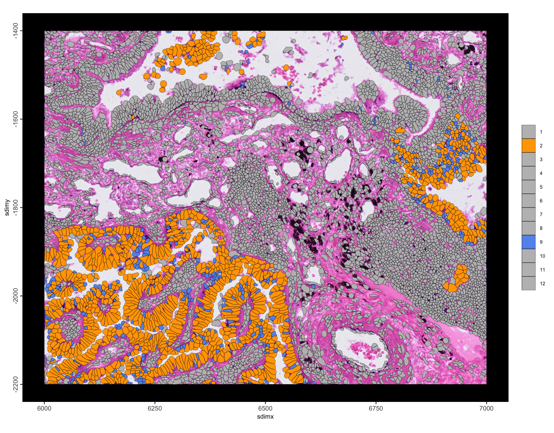 Spatial plot of enriched leiden annotation 2 to 9 interactions