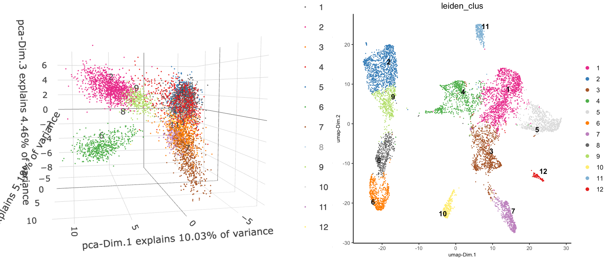 3D plot showing first PCs with leiden clustering annotations (left), UMAP plot showing leiden clustering results (right)