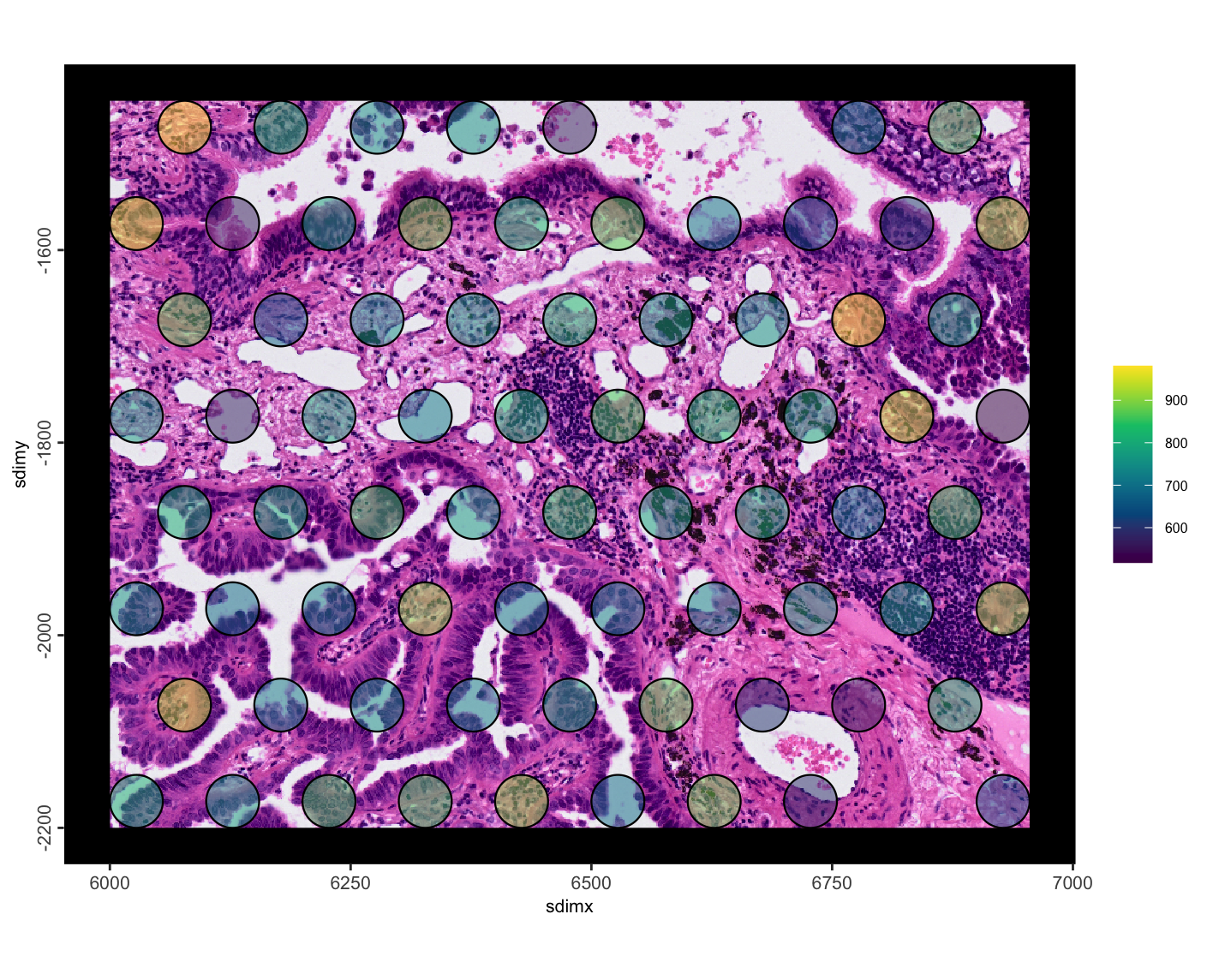 Pseudo visium total detections per spot