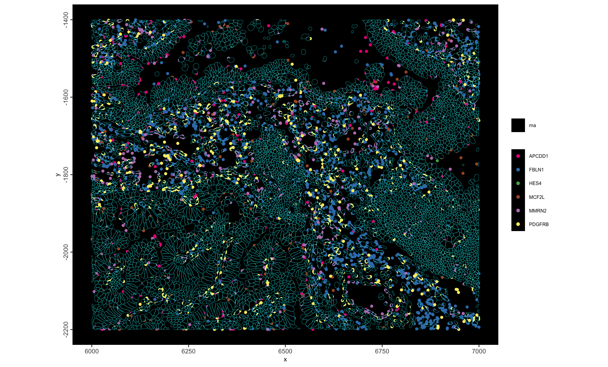 Simple subcellular plotting to check data