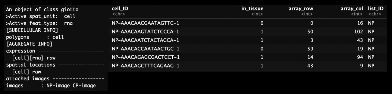 Structure of Giotto object containing two datasets (left) and cell metadata on the left. Note the addition of multiple images and the addition of the list_ID column to define the dataset.