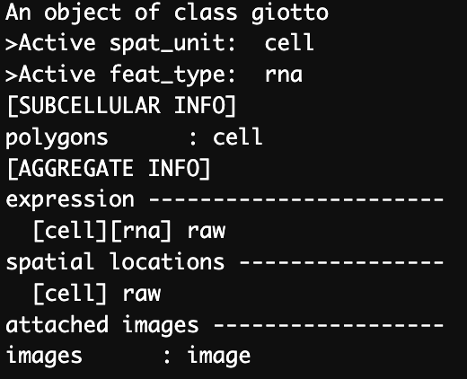 Structure of Giotto object containing a single dataset.