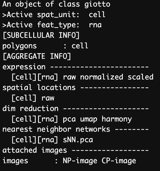 Data structure of the gobject after running Harmony integration.