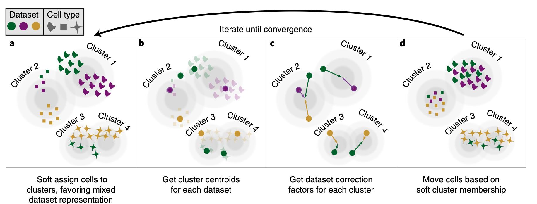 Overview of how Harmony aligns multiple datasets. First cluster cells, then get the centroids and apply a dataset correction factor then move cells based on the soft cluster membership. (Korsunsky et al. 2019)