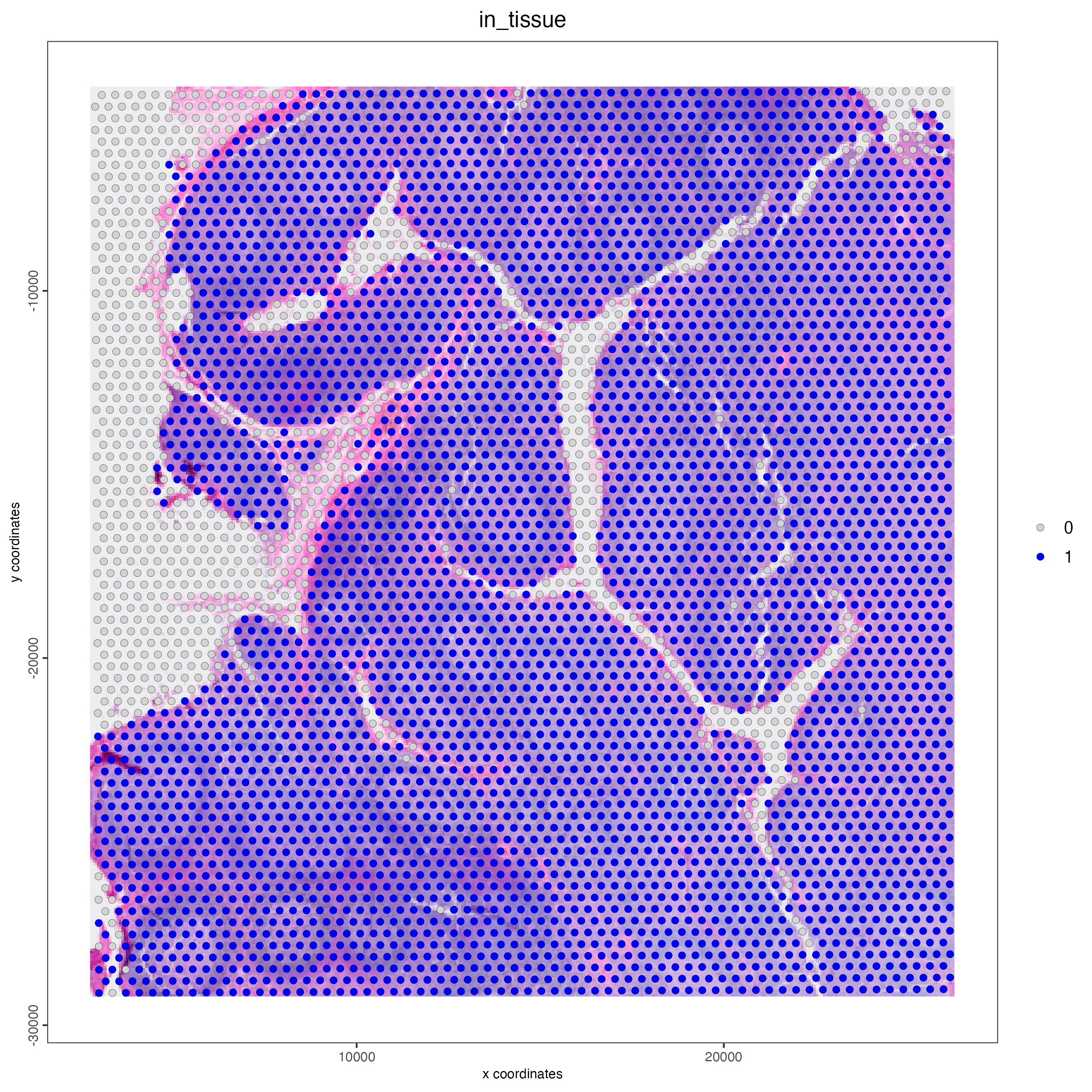 Spatial plot of the CytAssist human tonsil sample, color indicates wheter the spot is in tissue (1) or not (0).