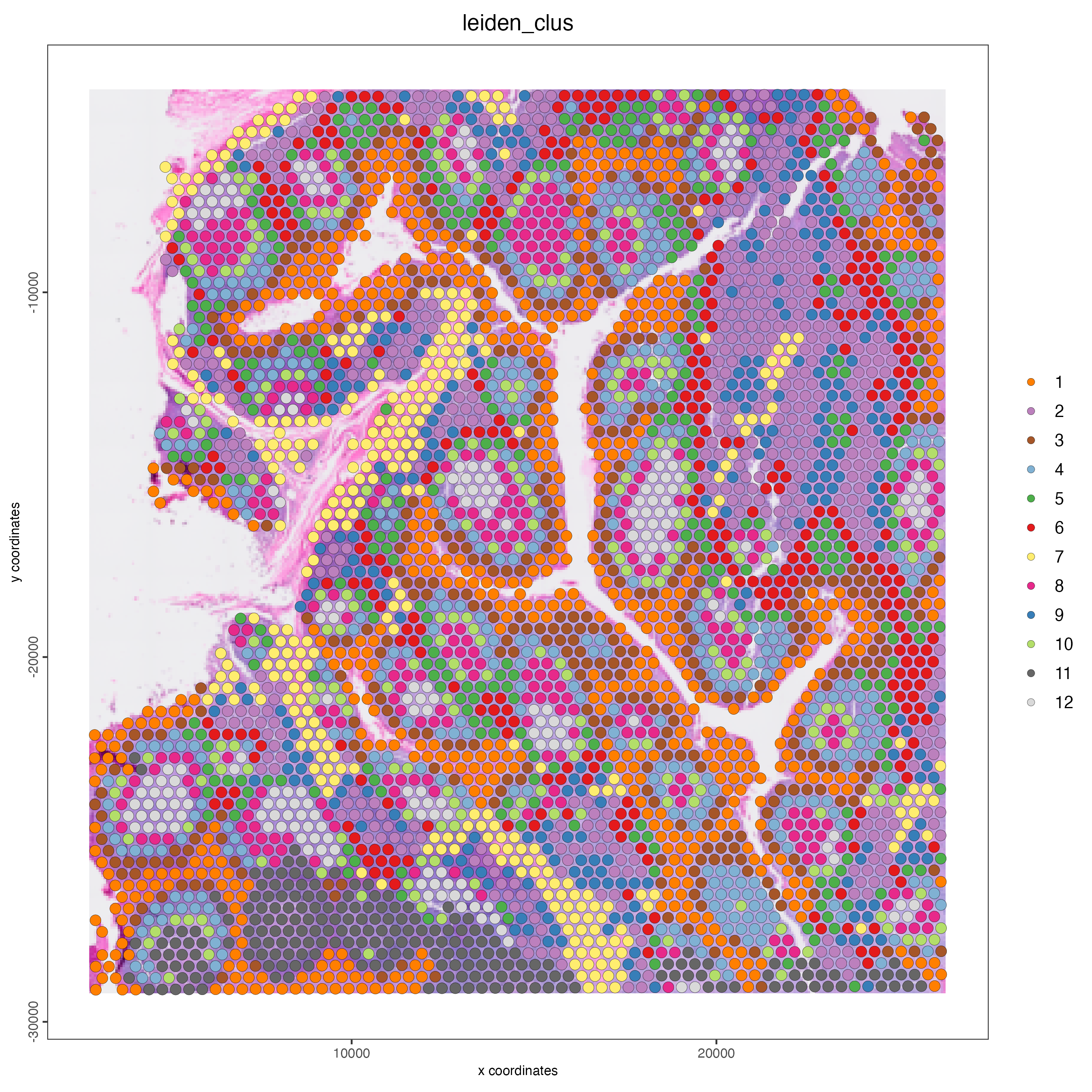 Spatial distribution of RNA-based Leiden clusters.