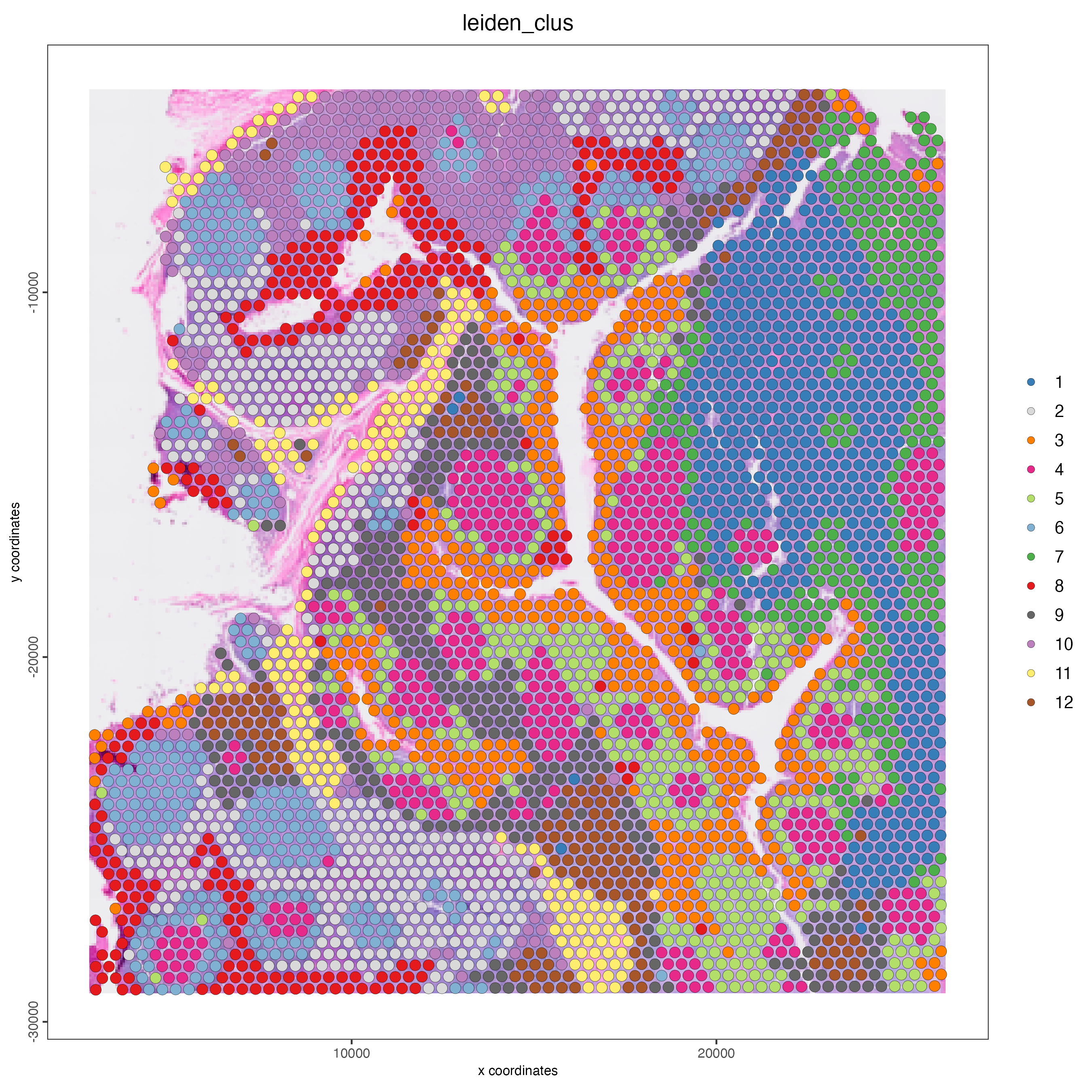 Spatial distribution of Protein-based Leiden clusters.