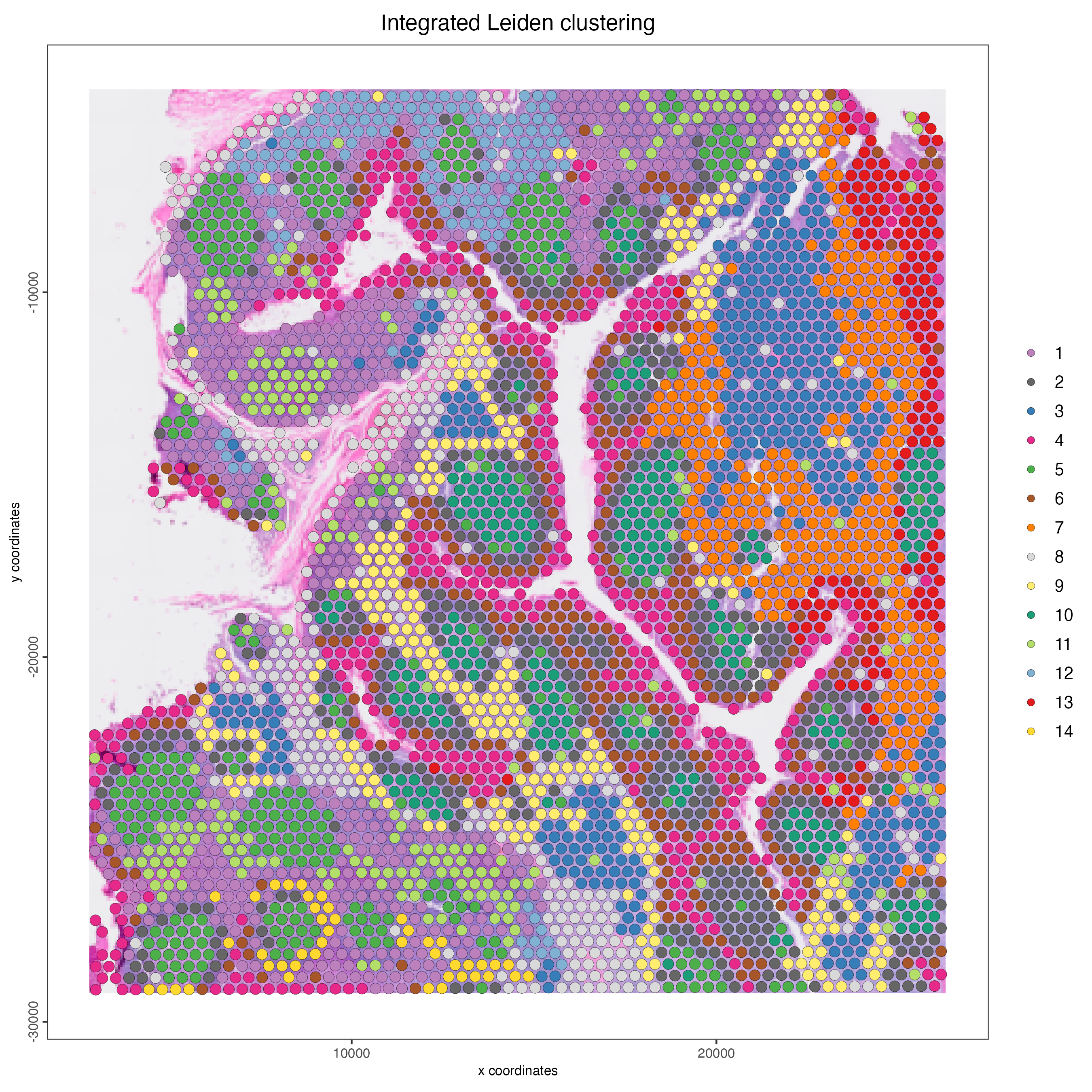 Spatial distribution of the integrated Leiden clusters.