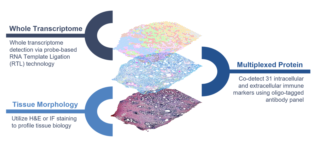 CystAssits multi-omics diagram. Source: 10X genomics.